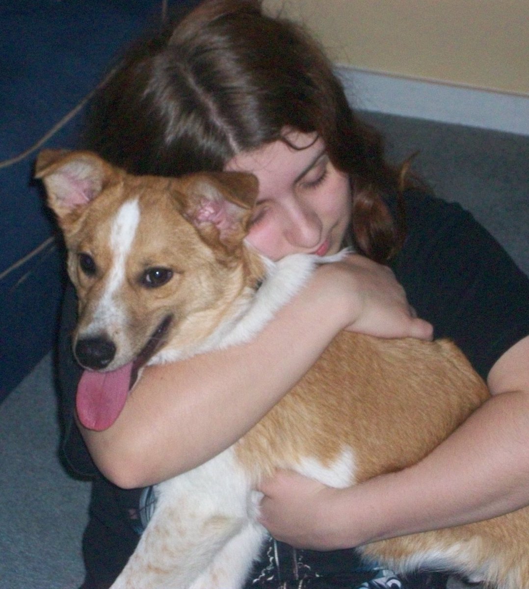 Emi えみ (sinner adam truther) tweet media