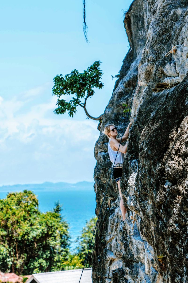 Free & Easy Traveler tweet media