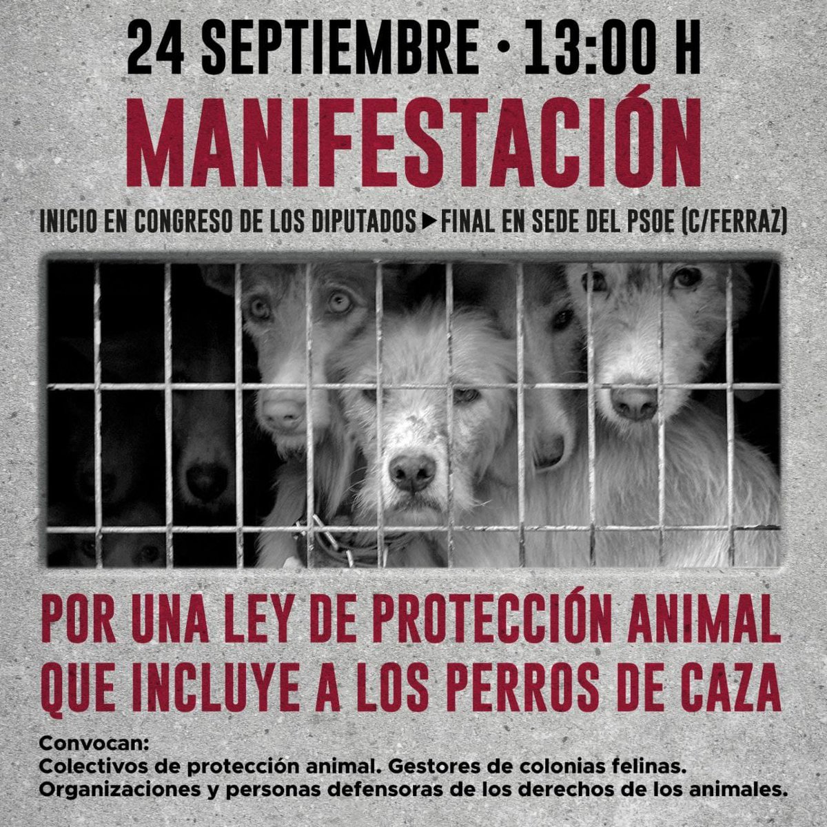 ROCKSANNITA's tweet photo. Que dice el PPSOE que los perros, si son utilizados para la caza,no tienen los mismos derechos. Entonces entenderemos que las personas que cazan tampoco deben tenerlos. Todos somos iguales o según a que nos dediquemos o para que nos utilicen permitimos el maltrato y ahorcamiento? https://t.co/szPLtv2Ao3