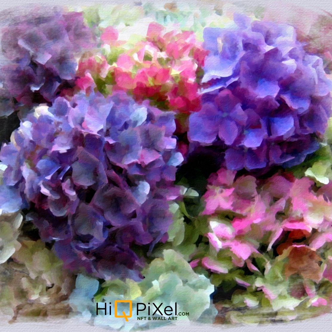 HiqPixel's tweet photo. #beautiful #flower #collection #wallart #nft https://t.co/MftMJiGb67