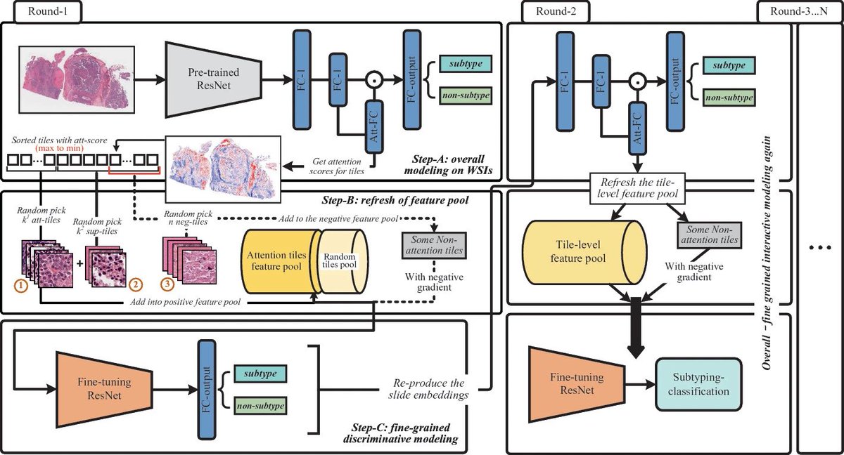 Yang Hu (@superhy199148) on Twitter photo Our novel self-interactive multi-instance learning framework will appear in #MICCAI2022 tomorrow, which shows a very high full-granularity feature processing ability especially on the small data set of pathological images. Supervised by <a href="/JensRittscher/">Jens Rittscher</a>
link.springer.com/chapter/10.100… Our novel self-interactive multi-instance learning framework will appear in #MICCAI2022 tomorrow, which shows a very high full-granularity feature processing ability especially on the small data set of pathological images. Supervised by <a href="/JensRittscher/">Jens Rittscher</a>
link.springer.com/chapter/10.100…
