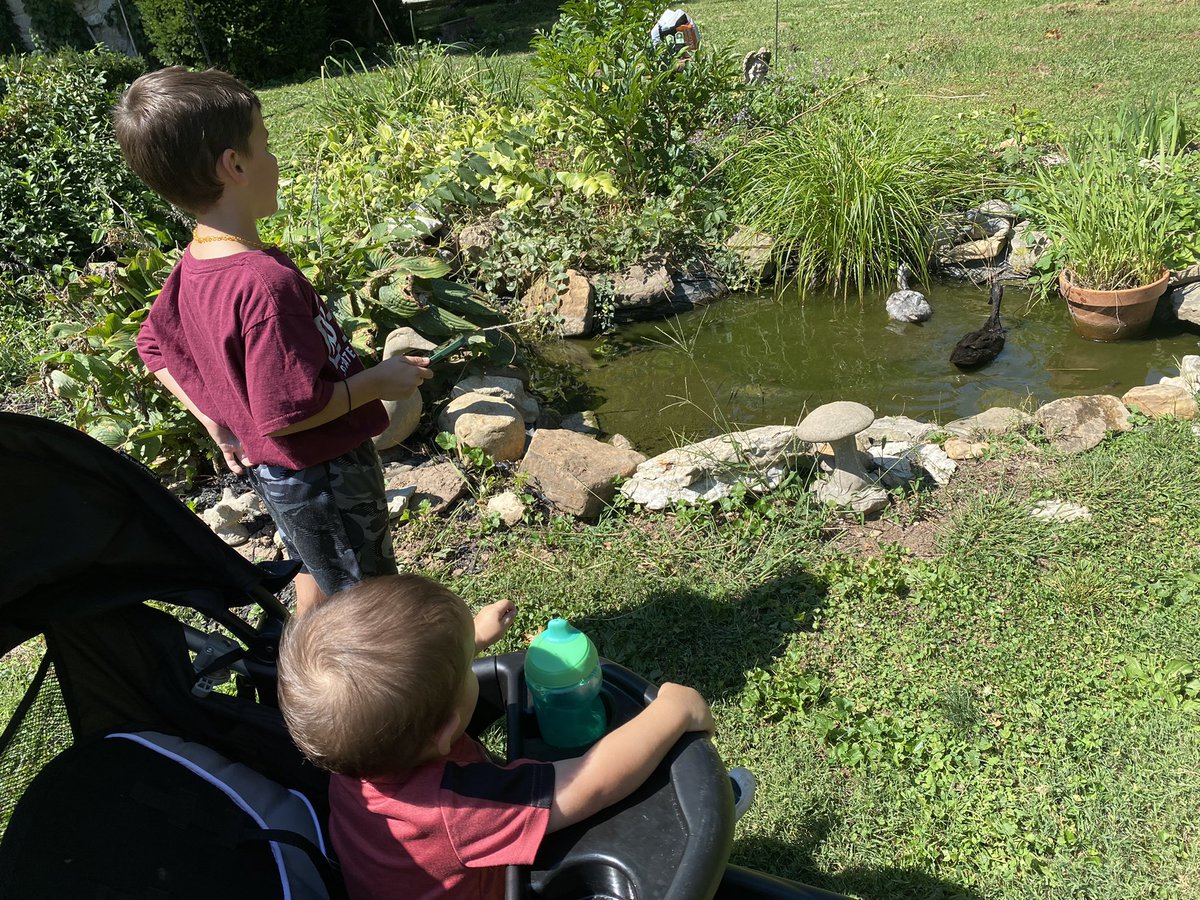 AJExner's tweet photo. Grateful for another eventful day to walk the streets and knock on doors. 
.
.
.
Also a son who can take some campaign pictures and willing to be paid in chicken nuggets
#Exner4MO #moleg #flipthishouseseat https://t.co/0PQruYMo2E