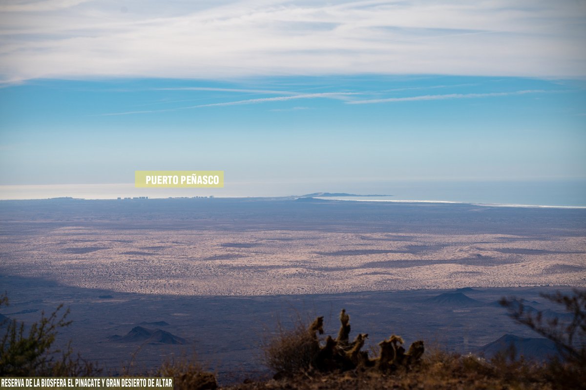 Se dice que en esta cima el #PadreKino observó que #BajaCalifornia no era isla, sino peninsula. 
Lo que seguro vio: Cráteres, volcanes, el golfo de California, Bahía Adair, salares, dunas, la sierra San Pedro Mártir. 
Firma para que la <a href="/CFEmx/">CFEmx</a> lo preserve bit.ly/PinacateSoloHa…