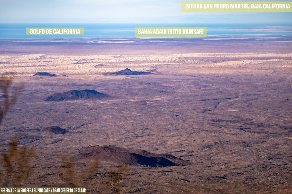 Caminantes del Desierto A.C. tweet media