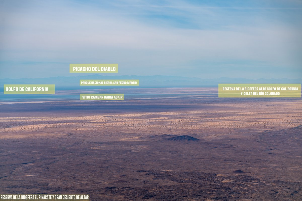 Caminantes del Desierto A.C. tweet media