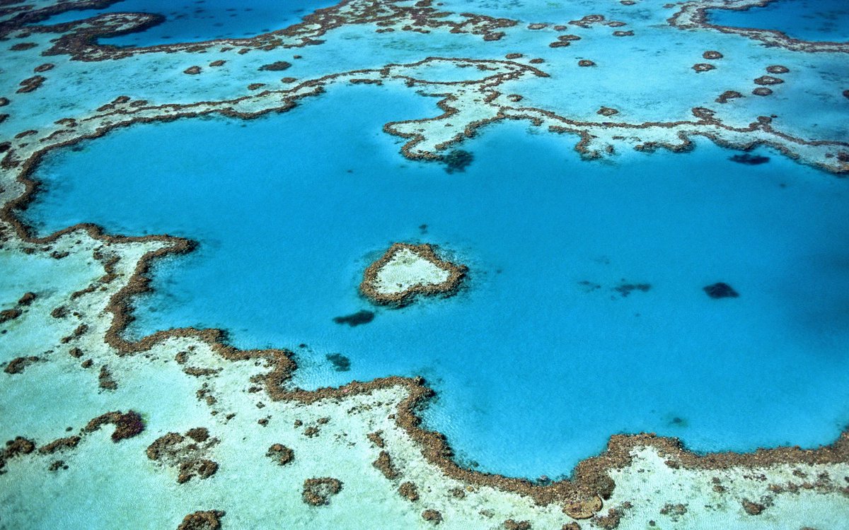 Mission Blue (@missionblue) on Twitter photo "With respect to the ocean being the heart of our blue planet: We are often asked, 'How much protection is enough?' We can only answer with another question: How much of your heart is worth protecting?" <a href="/SylviaEarle/">Sylvia A. Earle</a> 💙🌊
Photo by Yanguang Lan "With respect to the ocean being the heart of our blue planet: We are often asked, 'How much protection is enough?' We can only answer with another question: How much of your heart is worth protecting?" <a href="/SylviaEarle/">Sylvia A. Earle</a> 💙🌊
Photo by Yanguang Lan