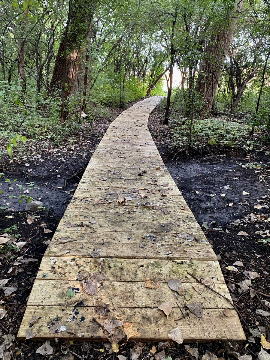 LockportHortic1's tweet photo. Connecting with our Forest on Campus. Amazing new wooden pathway by Kyle Brown’s Eagle Project! Thank you for your contribution to LTHS.
#lockporthorticulture
#lthsscience
#loveourschool
#eagleproject
#porterpride
#TogetherWeSucceed https://t.co/HPu7PTn4hi