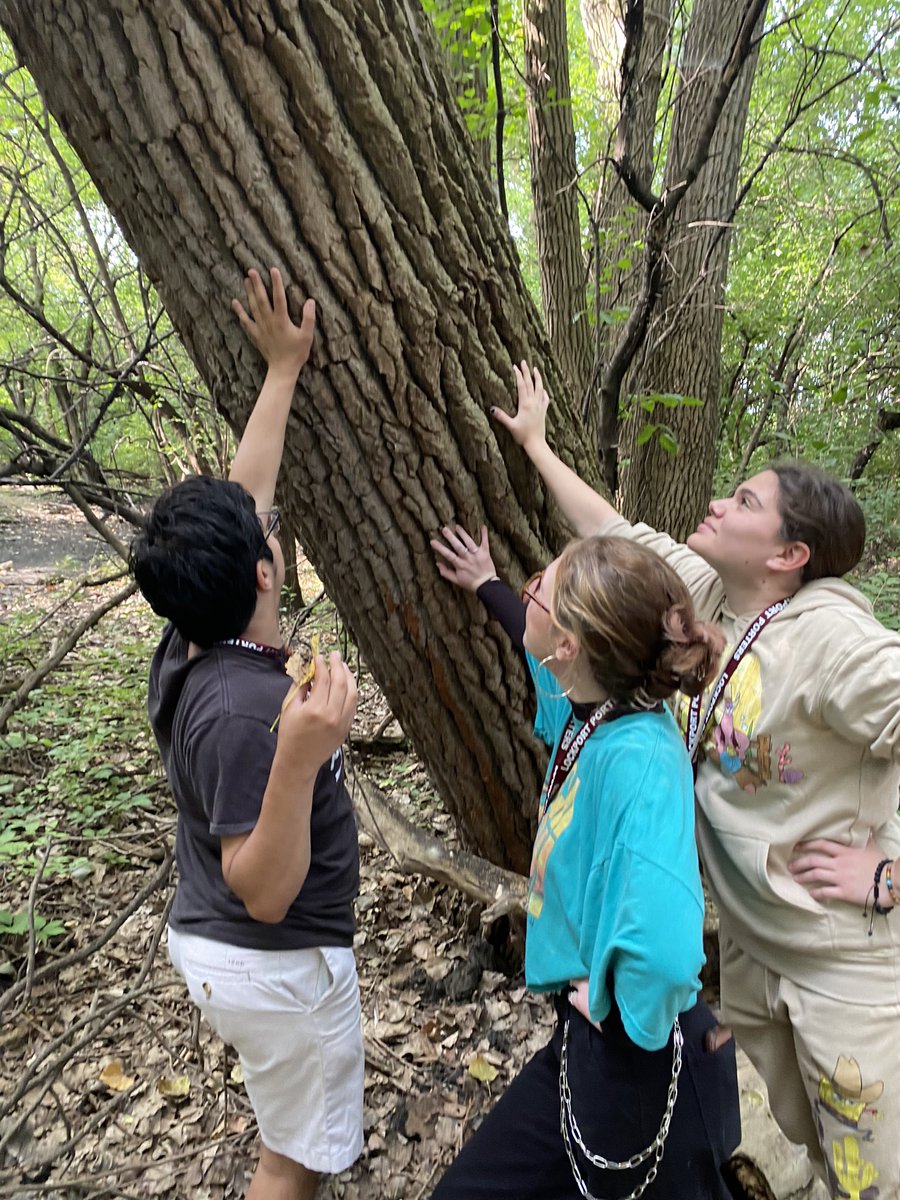 LockportHortic1's tweet photo. Connecting with our Forest on Campus. Amazing new wooden pathway by Kyle Brown’s Eagle Project! Thank you for your contribution to LTHS.
#lockporthorticulture
#lthsscience
#loveourschool
#eagleproject
#porterpride
#TogetherWeSucceed https://t.co/HPu7PTn4hi