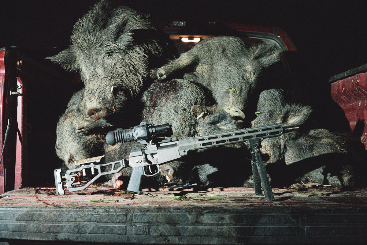 OpticsPlanet's tweet image. Invasive species management💪 

Shop @ArmasightUSA night vision and thermal imaging TODAY 👉 bit.ly/3d8A3Ok  

#opticsplanet #armasight #armasightusa #thermal #nightvision #thermalhunting #hunt