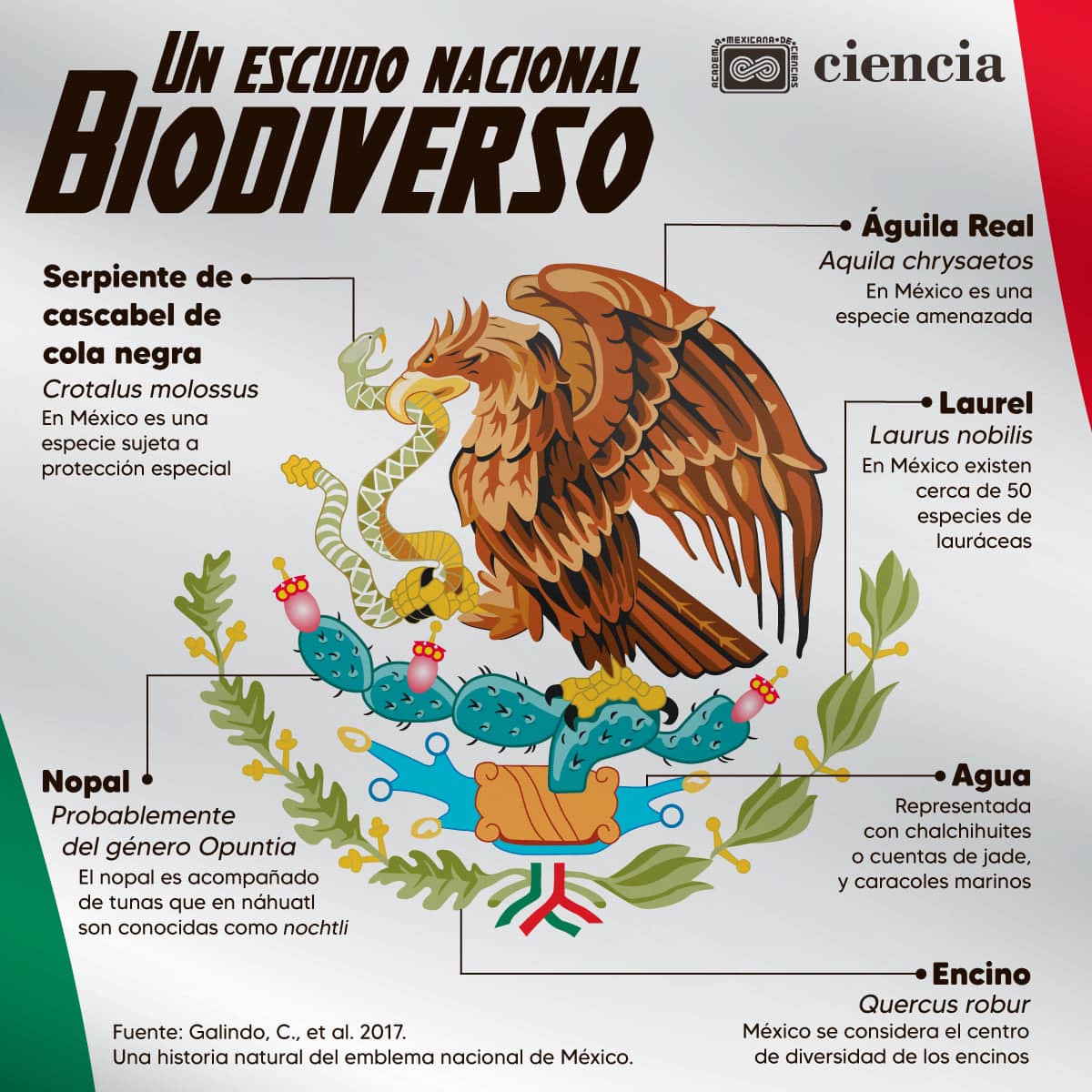 UNAM_MX's tweet image. ¿Conoces todos los elementos de la naturaleza presentes en el escudo nacional? Dale clic a la imagen y revisa si se te había pasado alguno.