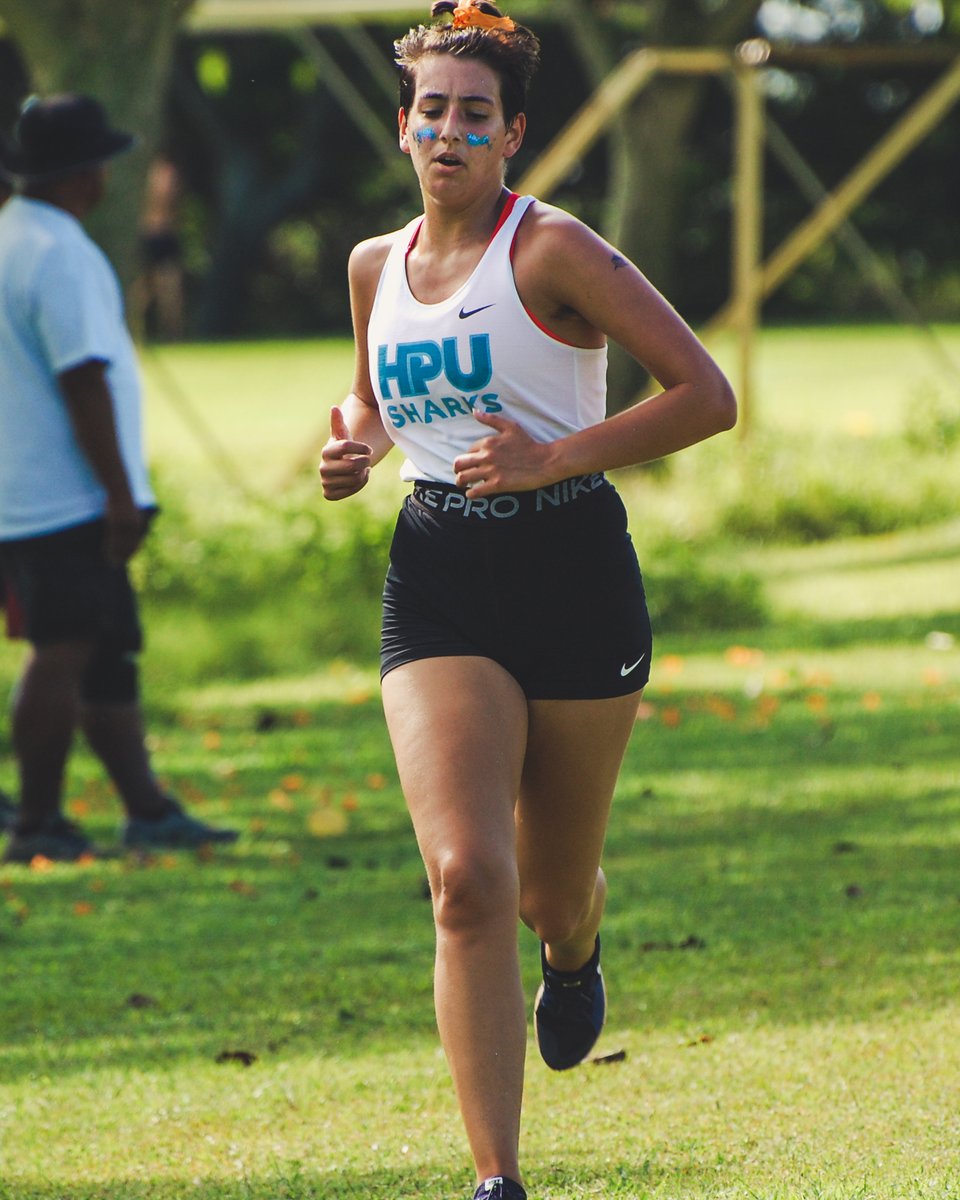 HPUSharks's tweet photo. Sharks Cross Country Dominate Chaminade Invitational

🔗 https://t.co/hLxYH96Bxl https://t.co/HwSCmHmbOf