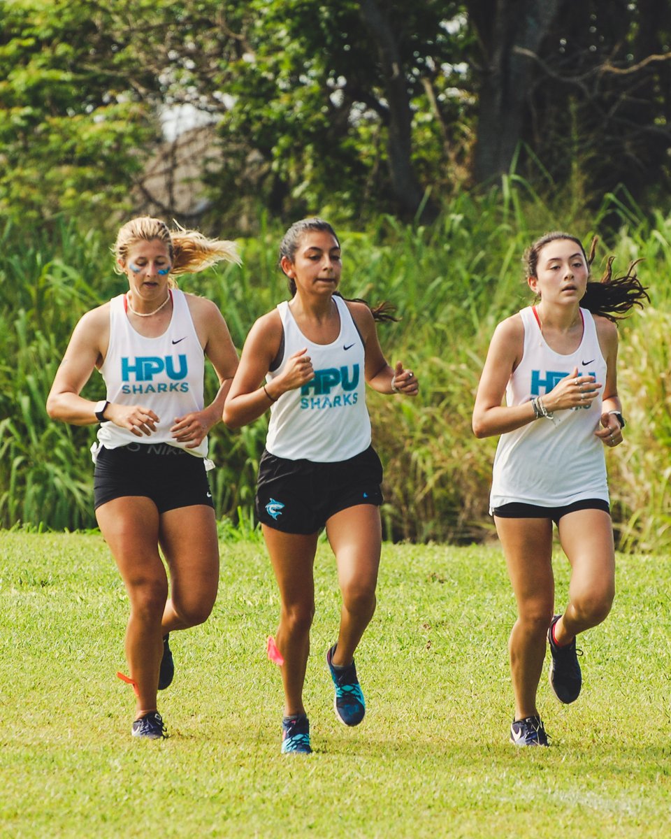 HPUSharks's tweet photo. Sharks Cross Country Dominate Chaminade Invitational

🔗 https://t.co/hLxYH96Bxl https://t.co/HwSCmHmbOf
