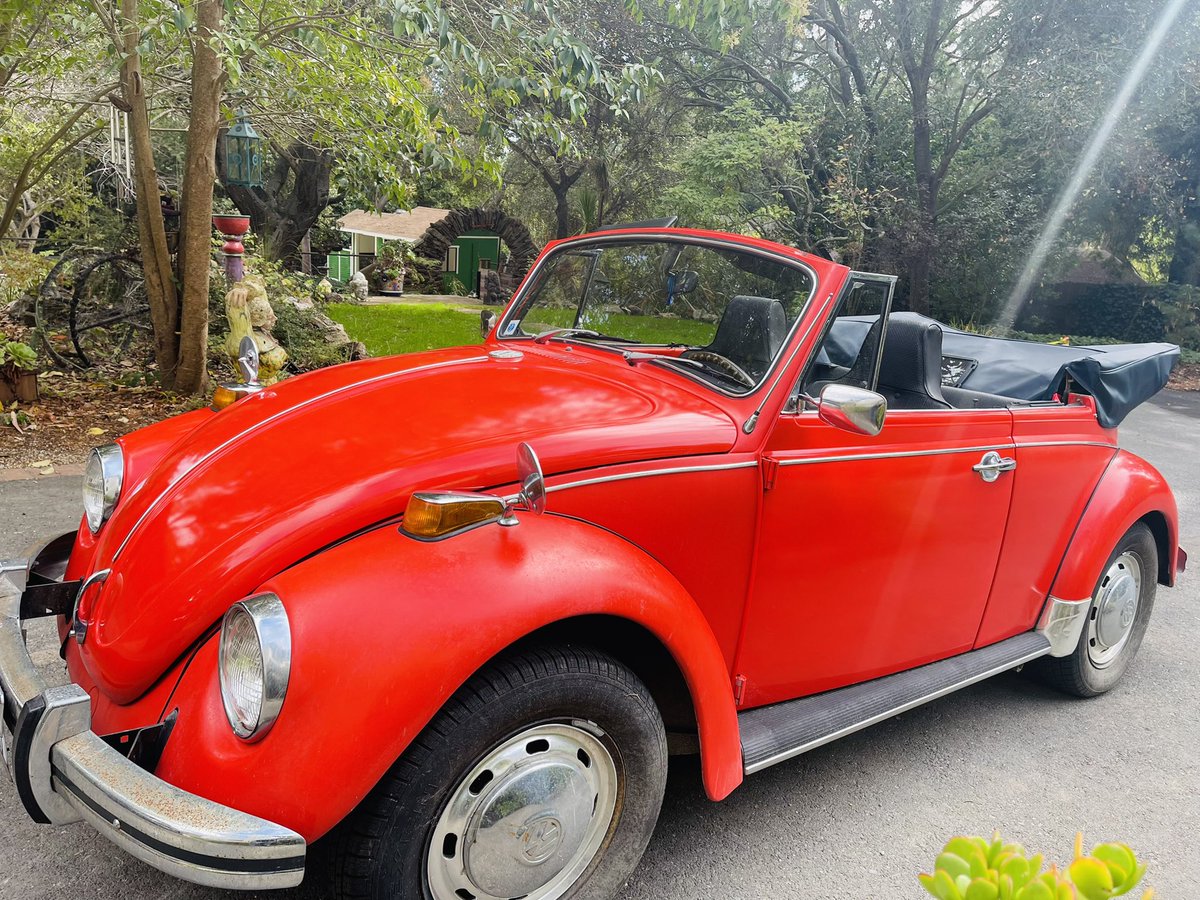 Leyla D. Seka tweet media