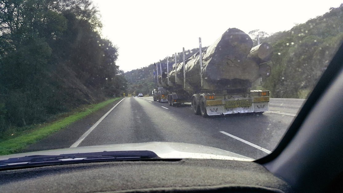 Earth1stlinda2's tweet image. This tree is frm an ancient forest in Tasmania.
It's a national crime to allow such ancient trees,that provide multiple dwellings to threatened,endangered &amp;amp; @ risk wildlife to be logged.
This has to stop before there's literally no habitat trees left.

#EndNativeForestLoggingNOW