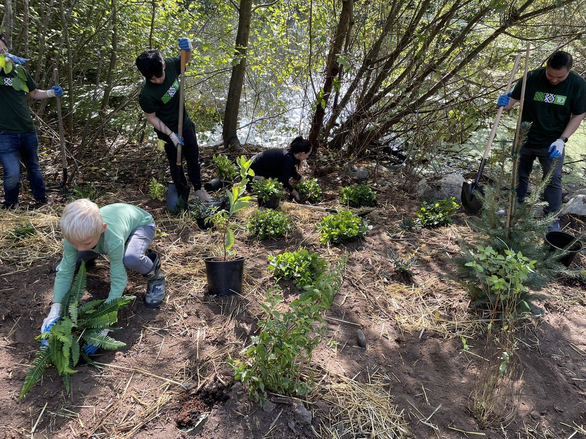 TD Tree Days are back! Beautiful Saturday in Coquitlam☀️We are 600 closer to our 1 million trees planted by 2030 goal👏🏼🌲 Big THANK YOU to all the volunteers who made the process fun and meaningful! #TDpacgivesback 
<a href="/WesHo_TD/">Wesley Ho</a> @ChristinaSunwoo <a href="/AmynJessa_TD/">Amyn Jessa</a> <a href="/juliearmour_td/">Julie Armour</a>
