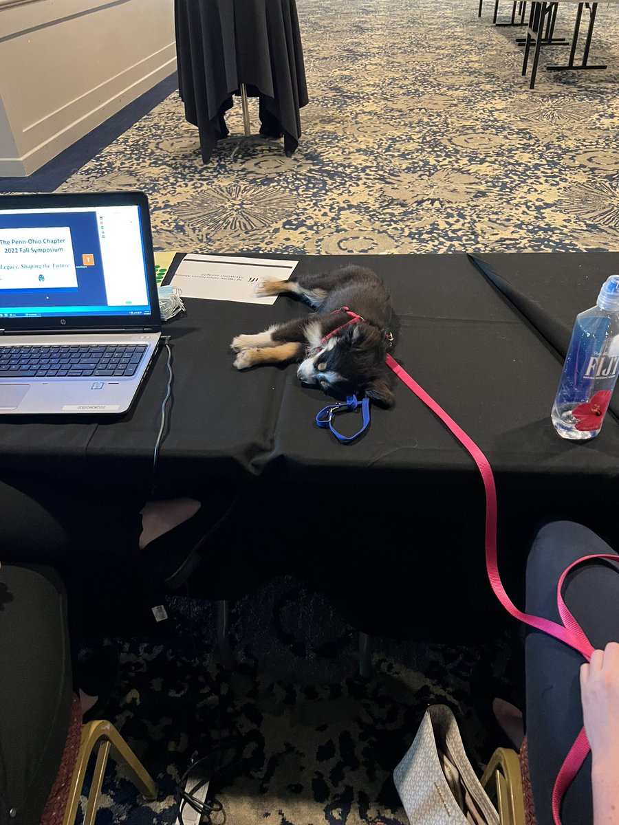 PennOhioAAPM's tweet photo. Thanks everyone for attending the #POCFALL2022 meeting. It was a great day but it was a little too long for our youngest attendee. How to see everyone in the spring https://t.co/Tw7kM2HgzV