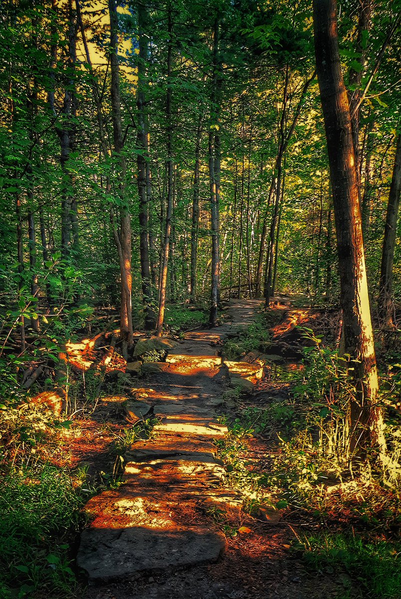 bmccabe's tweet photo. Some pics from my walks https://t.co/4YlOT96Yej