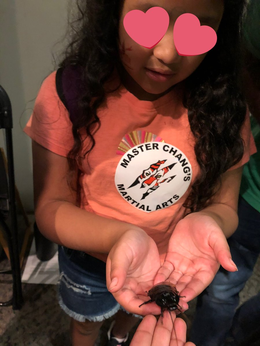 MsAllynsClass's tweet photo. Endless fun today at #BugFest22 πππͺ²πͺ³ https://t.co/FRIk92QElk