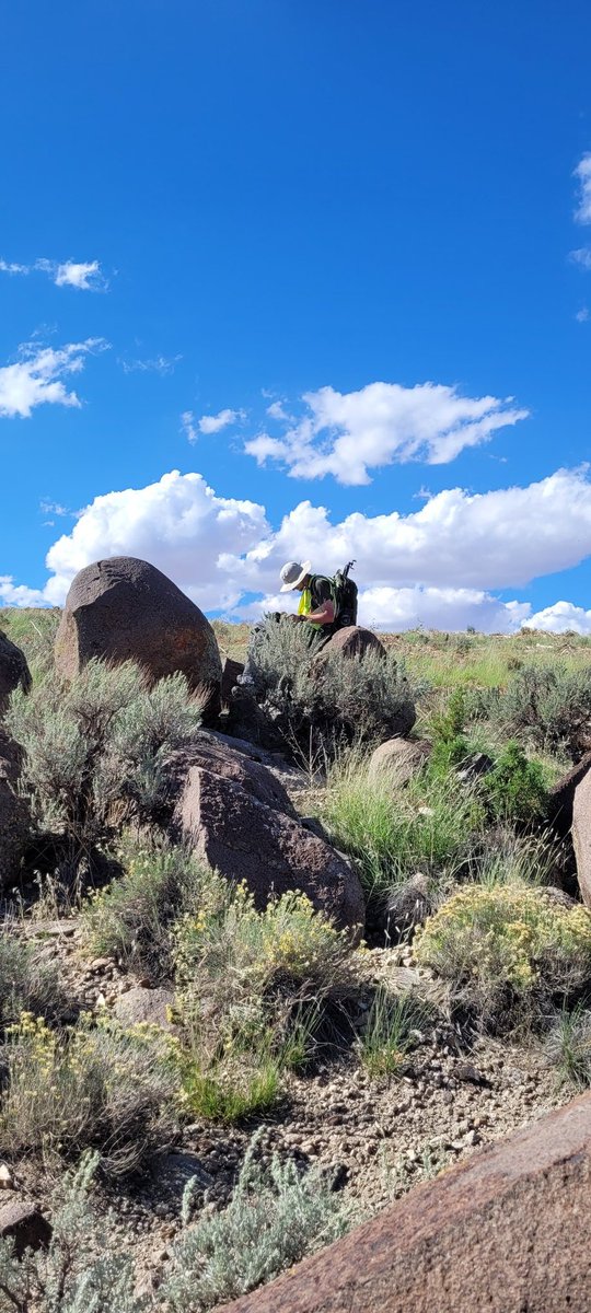 rockswhisperer's tweet photo. Great first day back in the #field mapping in The Three Peaks, Utah. #geology #EdMap #fieldwork https://t.co/D22aJJkP6R