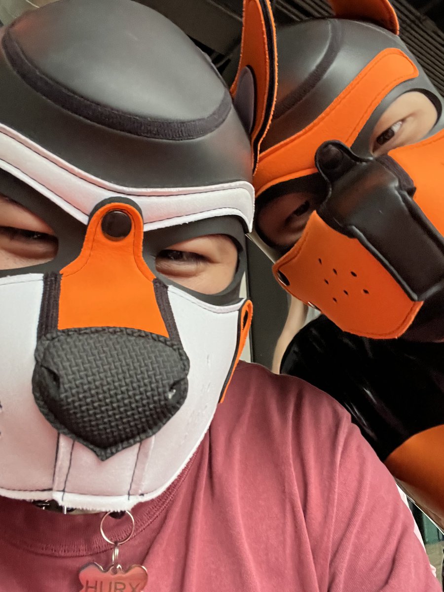 Look what I found <a href="/PupRaki/">Raki Lee</a>