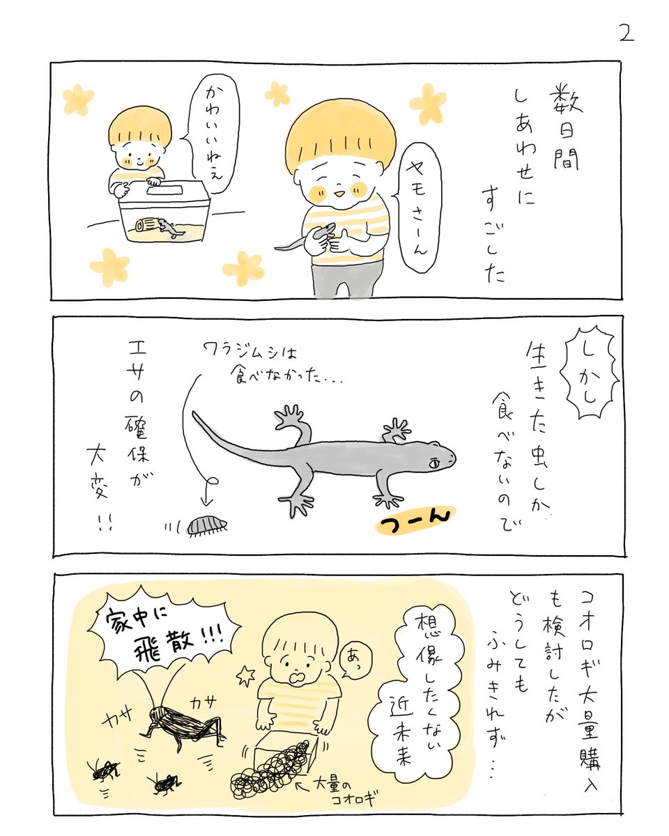 ヤモさんの思い出🦎 