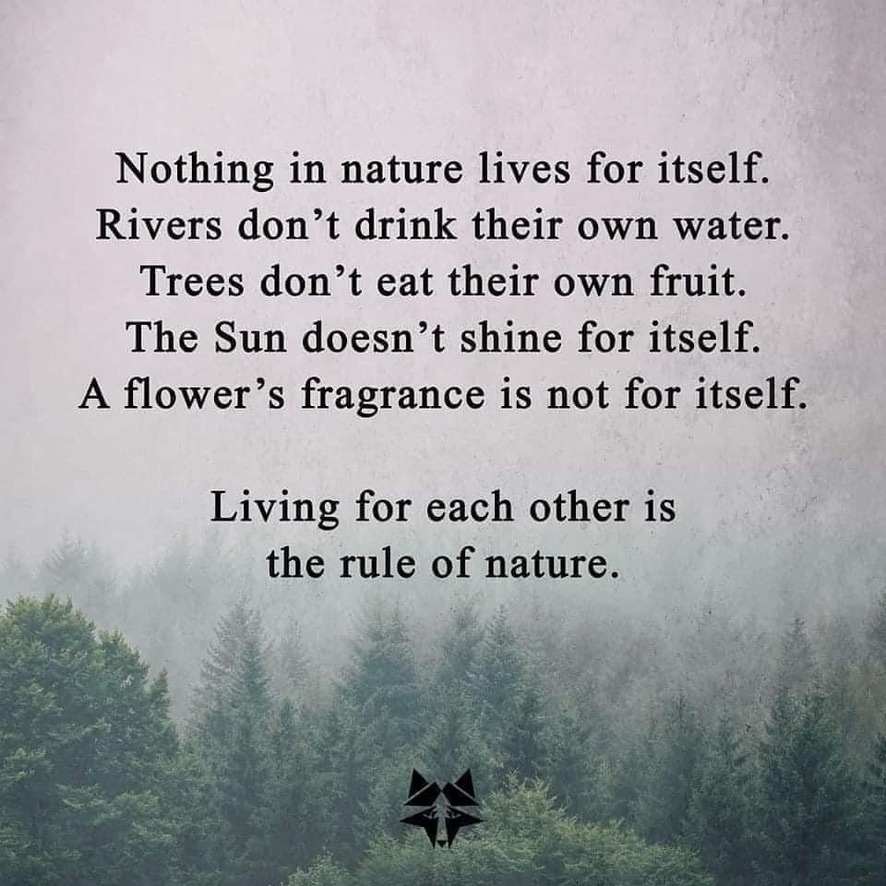 FosterGamble's tweet photo. This is why Austrian economists use the term “catallaxy” when describing how free economies self-organize in the same way nature distributes resources.
#thrive #freedom #austrian #economics #catallaxy #selforganize #naturallaw https://t.co/NuGgdFpvKC