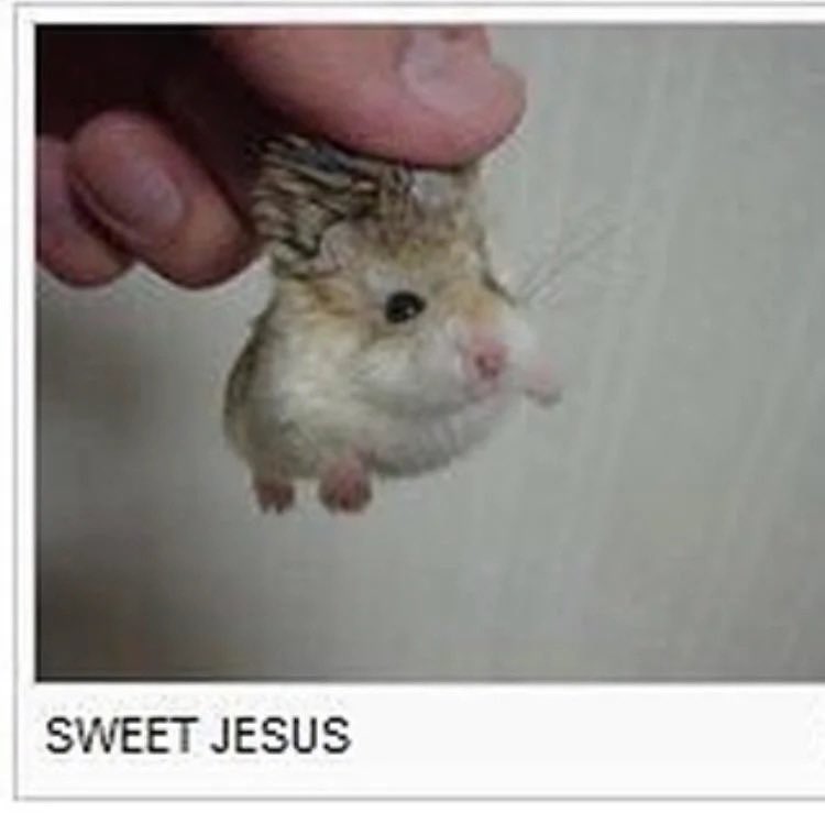 grabs  <a href="/secretarialnow/">ᅠ ᅠ‎: ̗̀➛ #1 𝗗𝗶𝗮𝗻𝗲 𝗛𝗮𝘁𝗲𝗿𝘀</a>  like  this