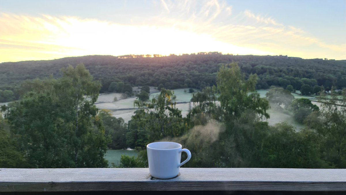 SeanThorne's tweet image. You should&apos;ve applied to #CodeCabin #umbraco