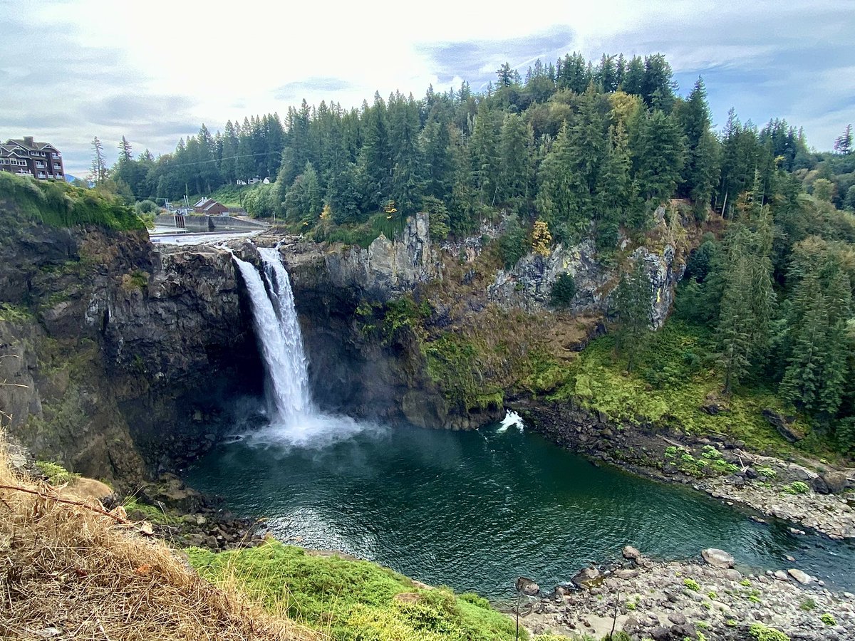 Simplicity_LC's tweet image. Hi nature 🍂