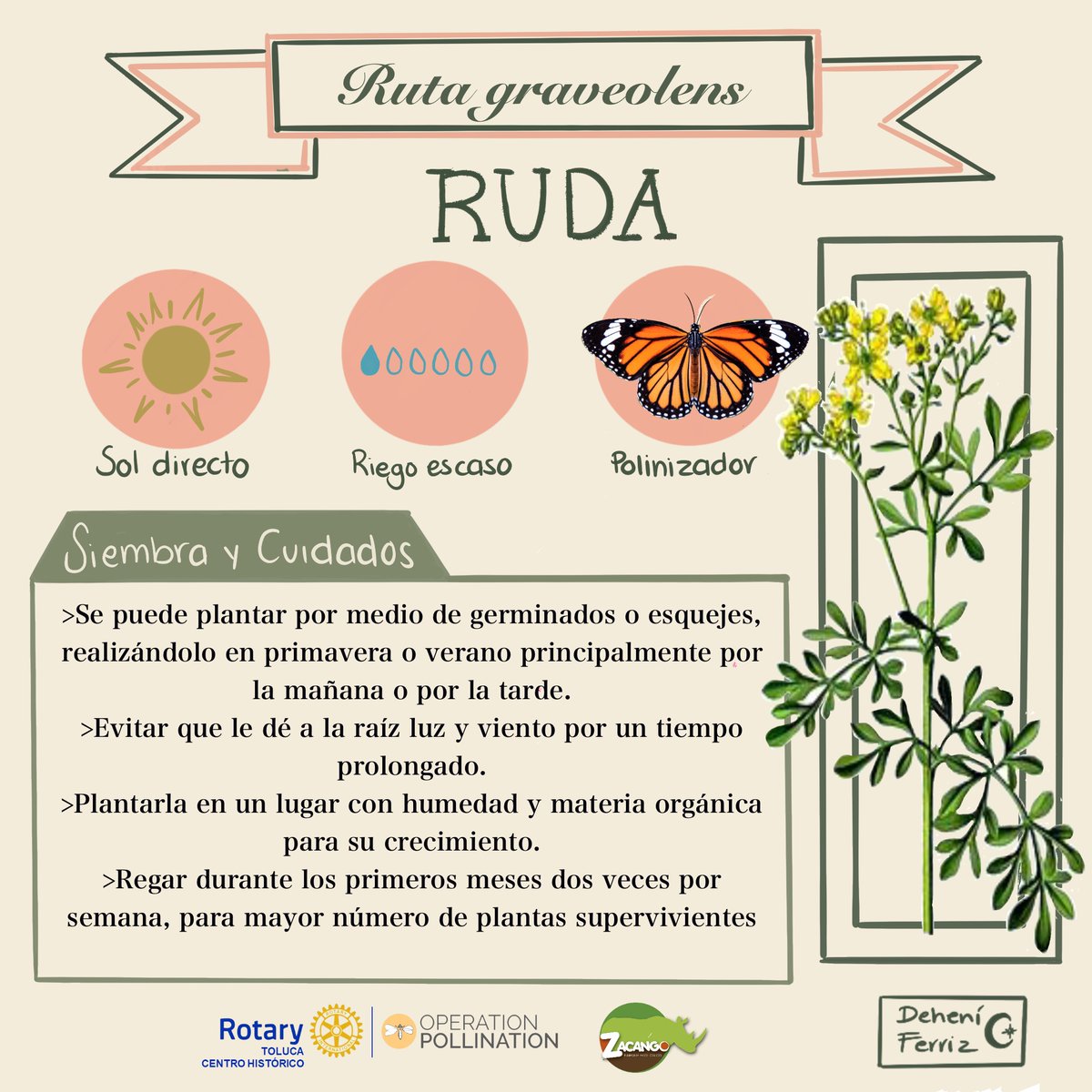 CRTolucaCH's tweet image. #OperationPollination #ClubRotarioTolucaCentroHistórico
Síguenos para enterarte de lo que esta sucediendo :)