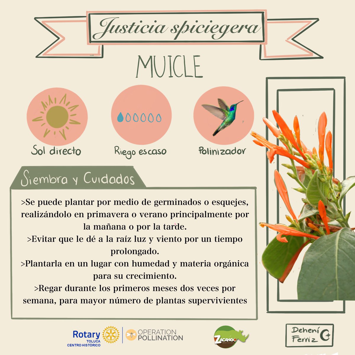 CRTolucaCH's tweet image. #OperationPollination #ClubRotarioTolucaCentroHistórico
Síguenos para enterarte de lo que esta sucediendo :)