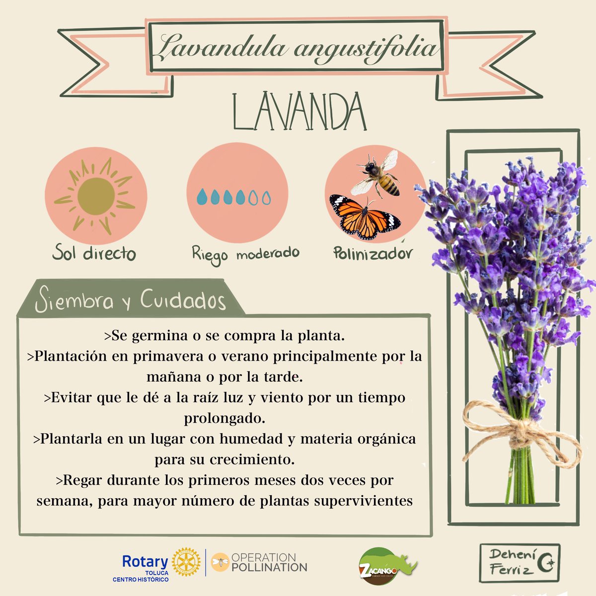 CRTolucaCH's tweet image. #OperationPollination #ClubRotarioTolucaCentroHistórico
Síguenos para enterarte de lo que esta sucediendo :)