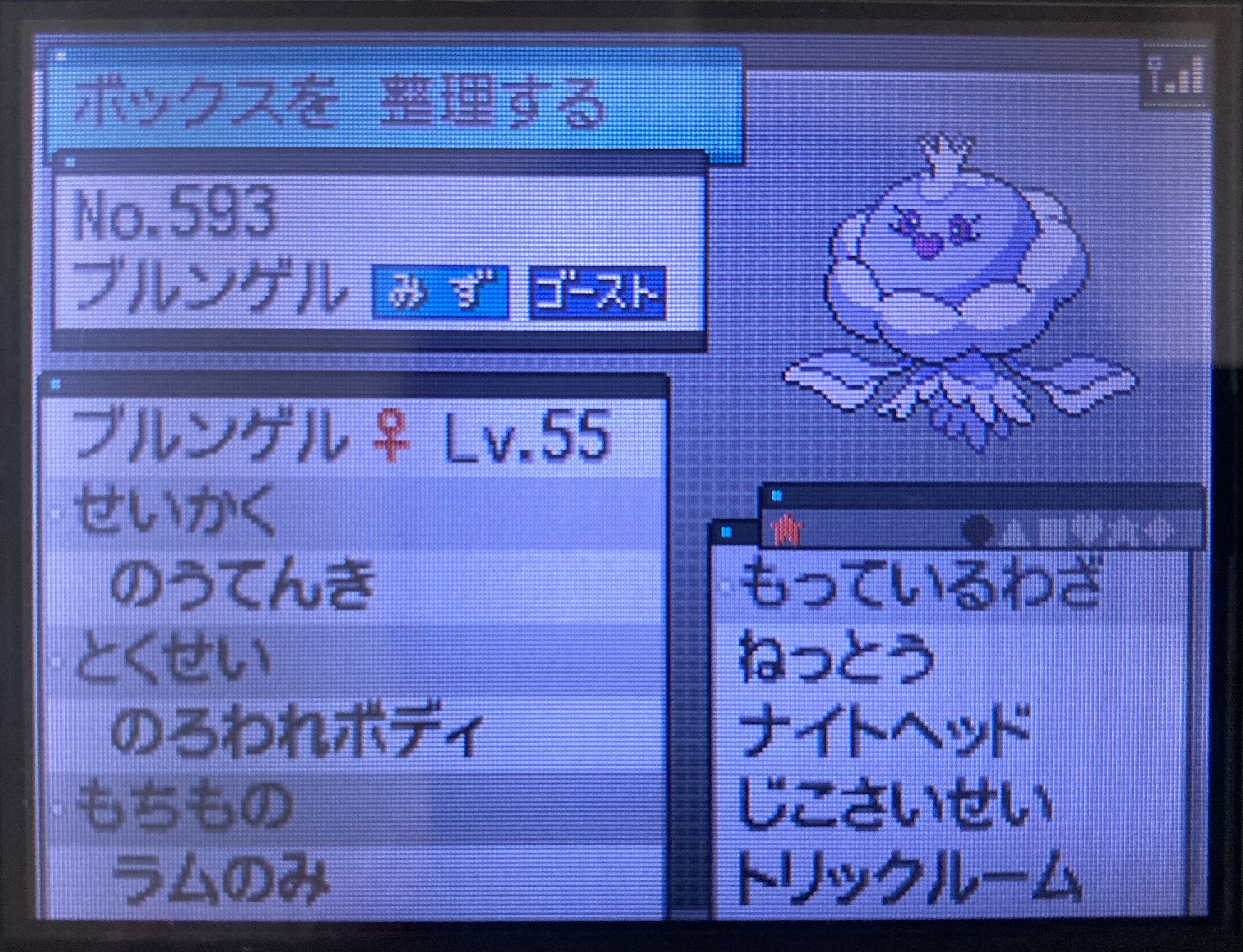 るいん ポケモン Ruin Pkmn Twitter
