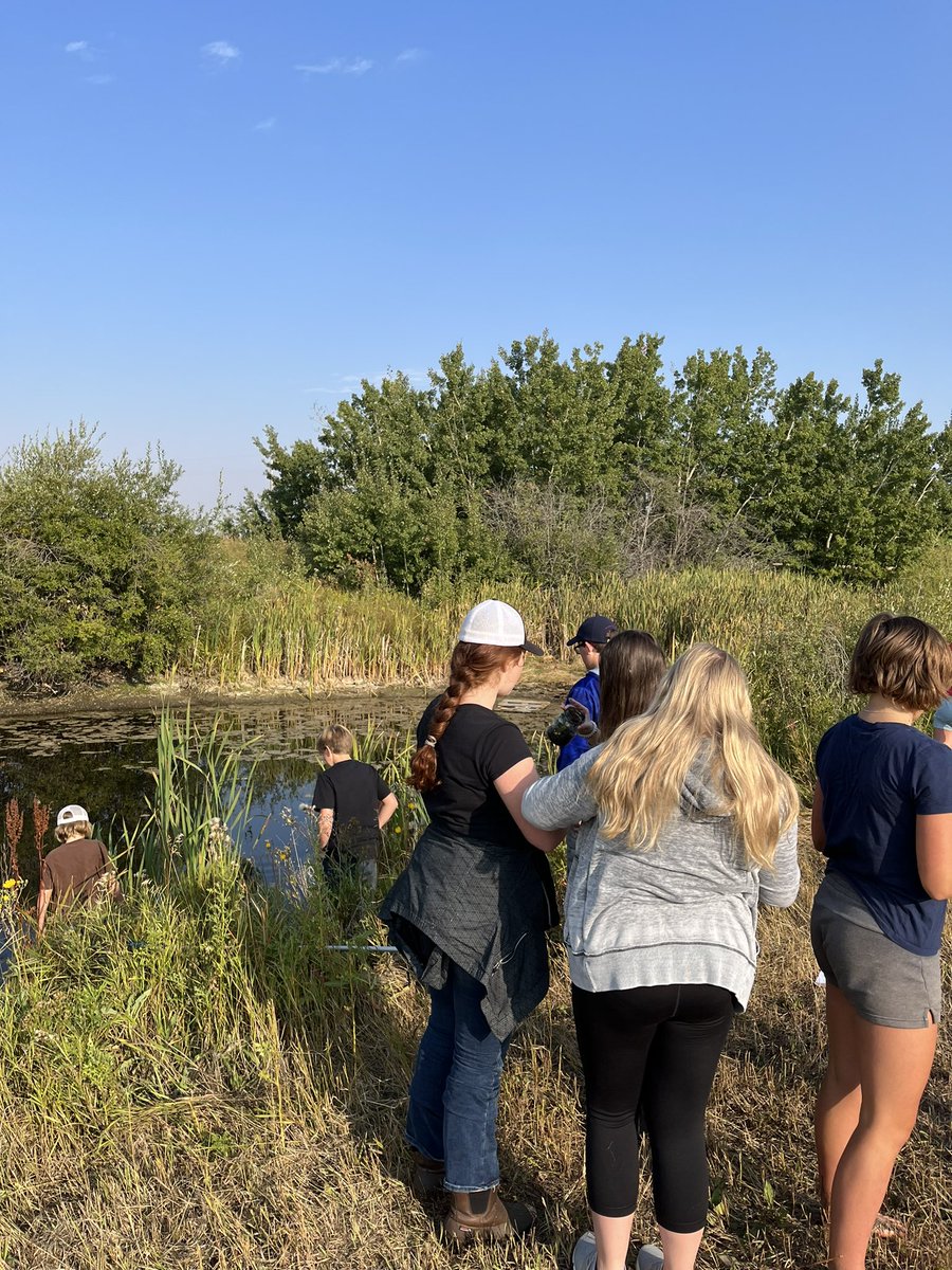 BrandonABrown's tweet photo. First Lab of the year for #Donsch Junior Highs. Creating “Ecosystems in a Jar” for our Interactions in Ecosystems unit! 🌱🐌🌤

What a great start to the 22/23 school year! https://t.co/Ijk4MSOoVP