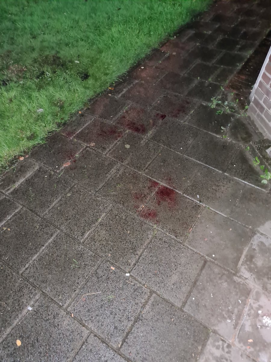 Na een melding van een #vechtpartij bij een woning op de #Krispijnseweg een zwaar gewonde man aangetroffen in de voortuin. Bij de woning een 50 jarige #Dordtenaar aangehouden ter zake pog. tot doodslag. Het slachtoffer is overgebracht naar het ziekenhuis. <a href="/POL_Dordrecht/">Politie Basisteam Drechtsteden Binnen</a> #Krispijn