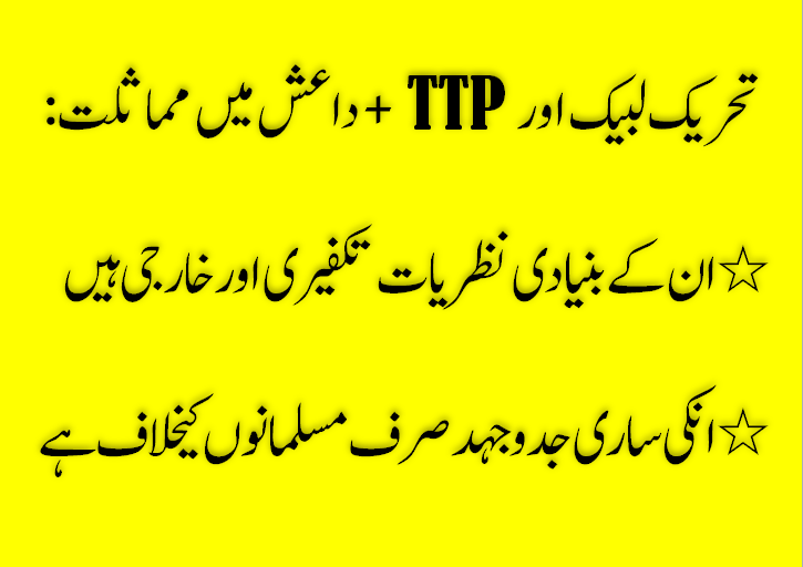 #BanTLP #کنجروں_کاٹولہ_TLP #میلو 
#ٹک_ٹاکی_کھسرے #ٹرانس_جینڈرایکٹ_نامنظور #انصار_عباسی_جھوٹا_ثابت #TLP_Promotion #TLP_ایک_فتنہ