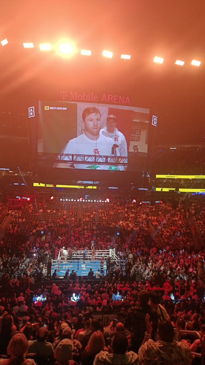 Apliqué la de "para eso trabajo tanto".
En la pelea 🥊 #CaneloGGG3 con mi Lily.