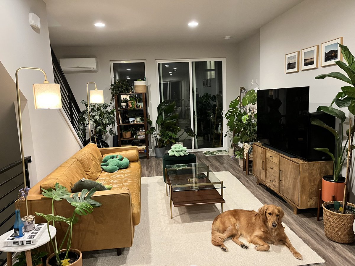 bonnibi's tweet photo. i love living in my house https://t.co/TYZJxDxafT