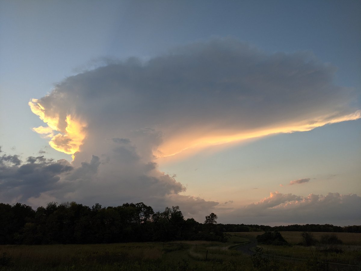 MPR Weather tweet media