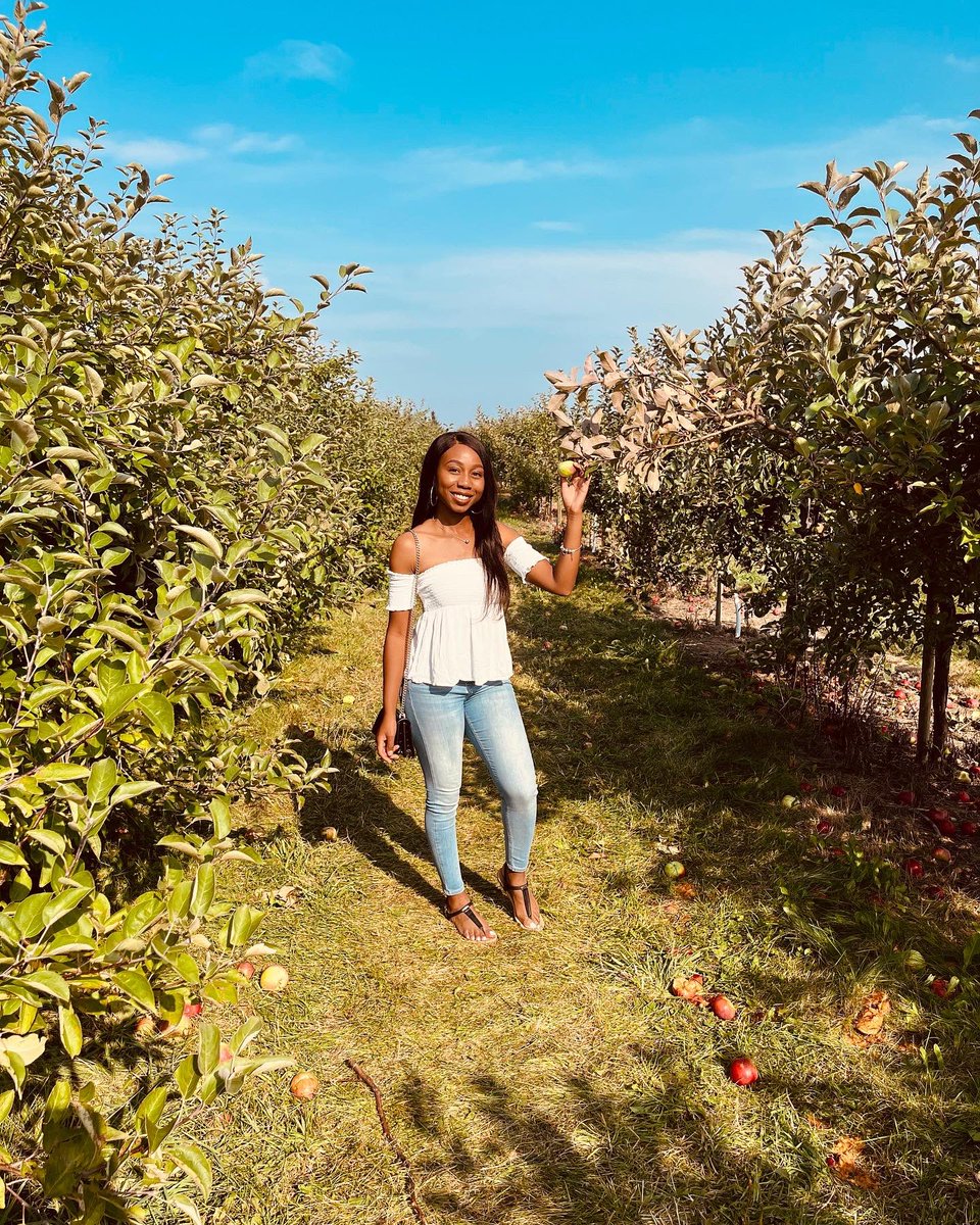 C. Williams tweet media