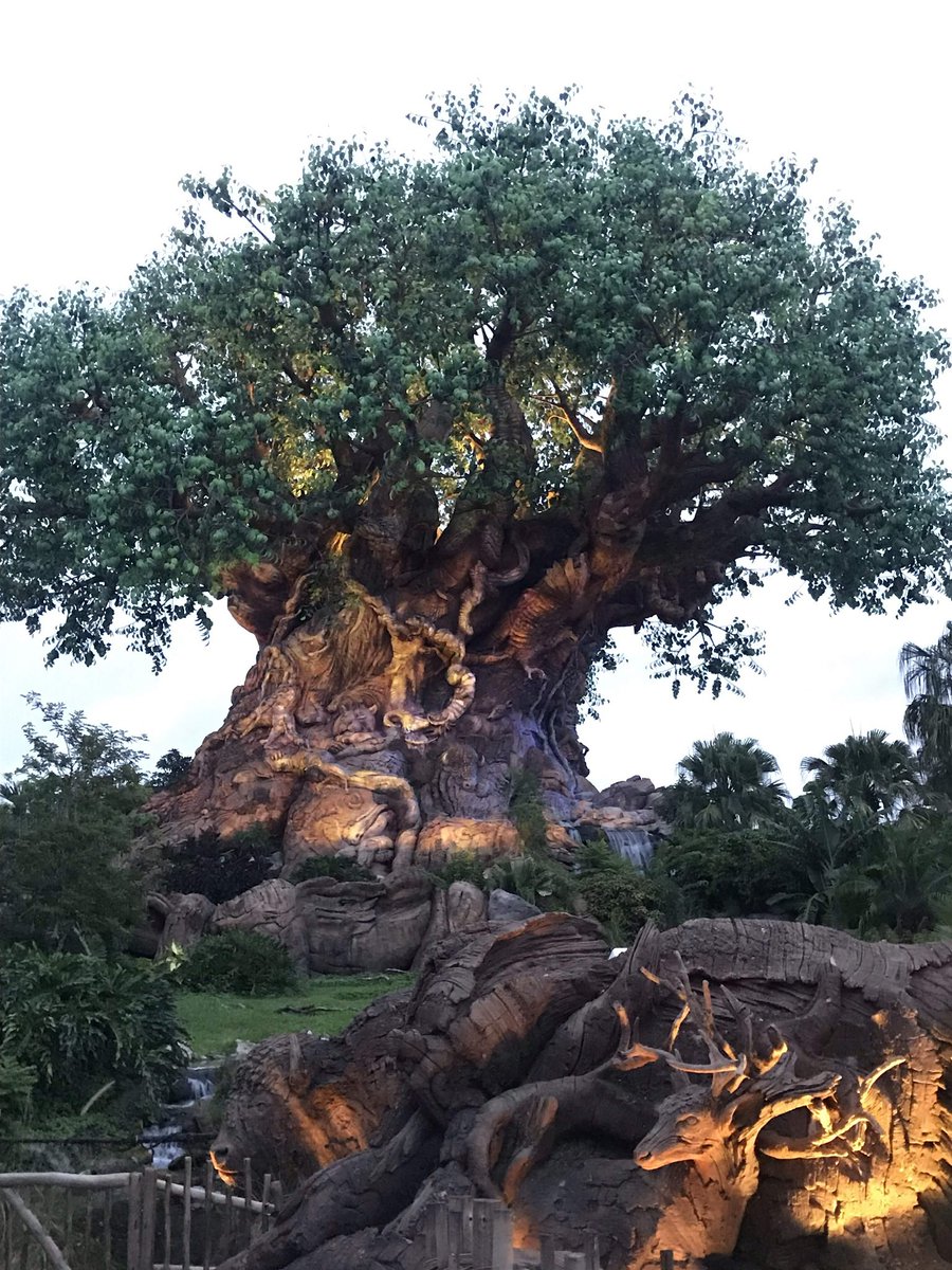 JamboEveryone's tweet photo. #PerfectDak https://t.co/SnaC8uccDR