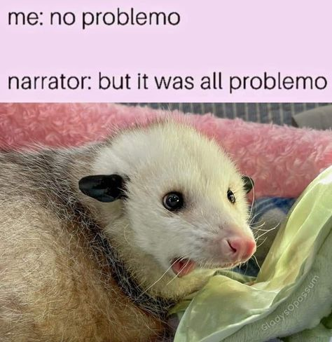 Z3N_MH's tweet photo. This is my life

#trash #thisisfine #mentalillness #anxiety #depression #bipolar #bpdfam #bpd #ocd #adhd #gad https://t.co/HXsduwKUTU