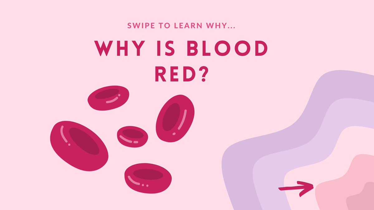 BodyOKnowledge's tweet photo. Happy Sunday! Did you know this fun fact about why blood is red? 💡 #STEM #ScienceIsAwesome #Scicomm https://t.co/yjB84ipH55