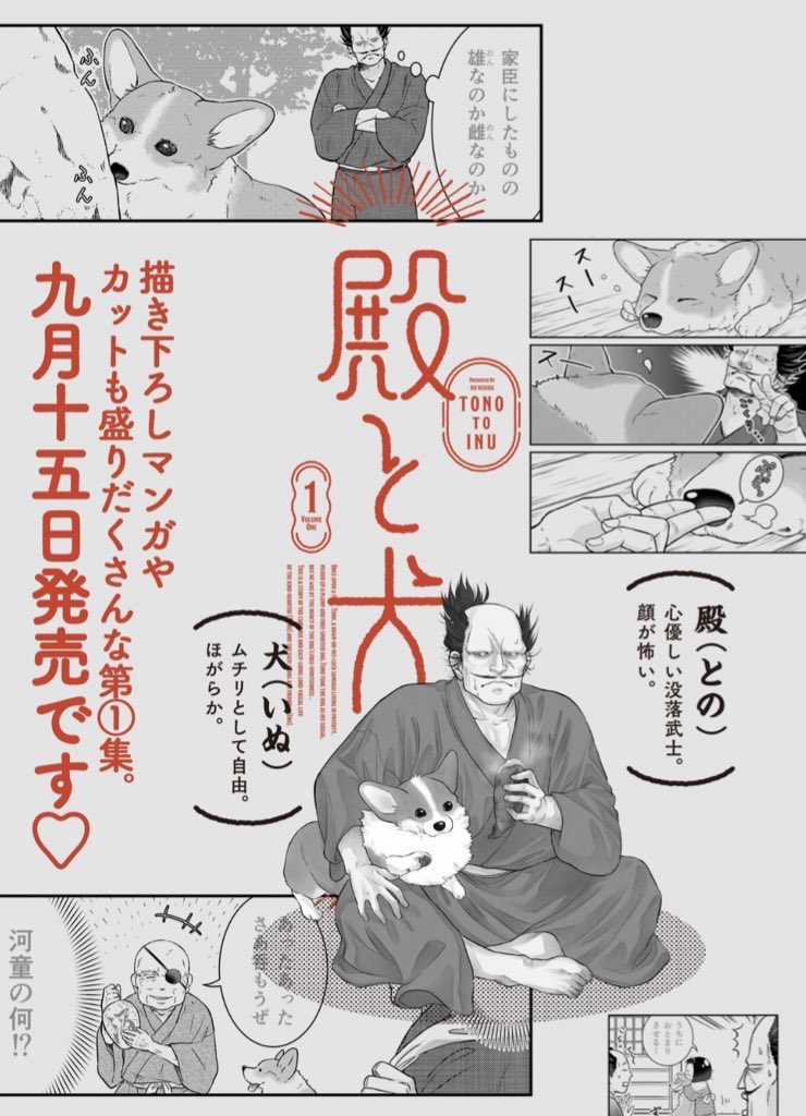 ✨コミックス好評発売中✨ 武士とコーギー犬 ほだされ主従暮らし🐯🐶 『#殿と犬(とのといぬ)』第①集 描き下ろし漫画やおまけカット(10点!)も大充実🐾 【Amazonさん】 👇こちら👇 https://www.amazon.co.jp/gp/product/4866752408?ie=UTF8&tag=comicbloodjp-22 【無料試し読み】 👇こちら👇 連休のお供にぜひどうぞ〜🍵