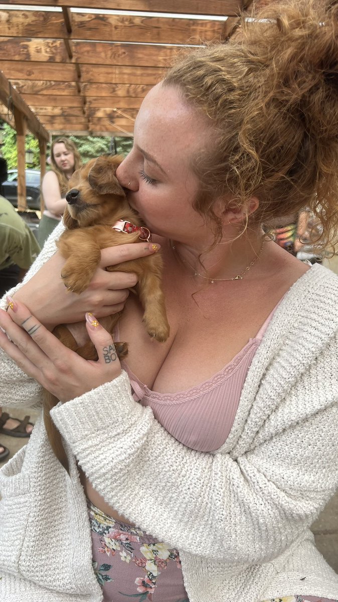 PiperMaePeach on Twitter: "A break from the serious stuff to entertain you with a cute puppy 💖"