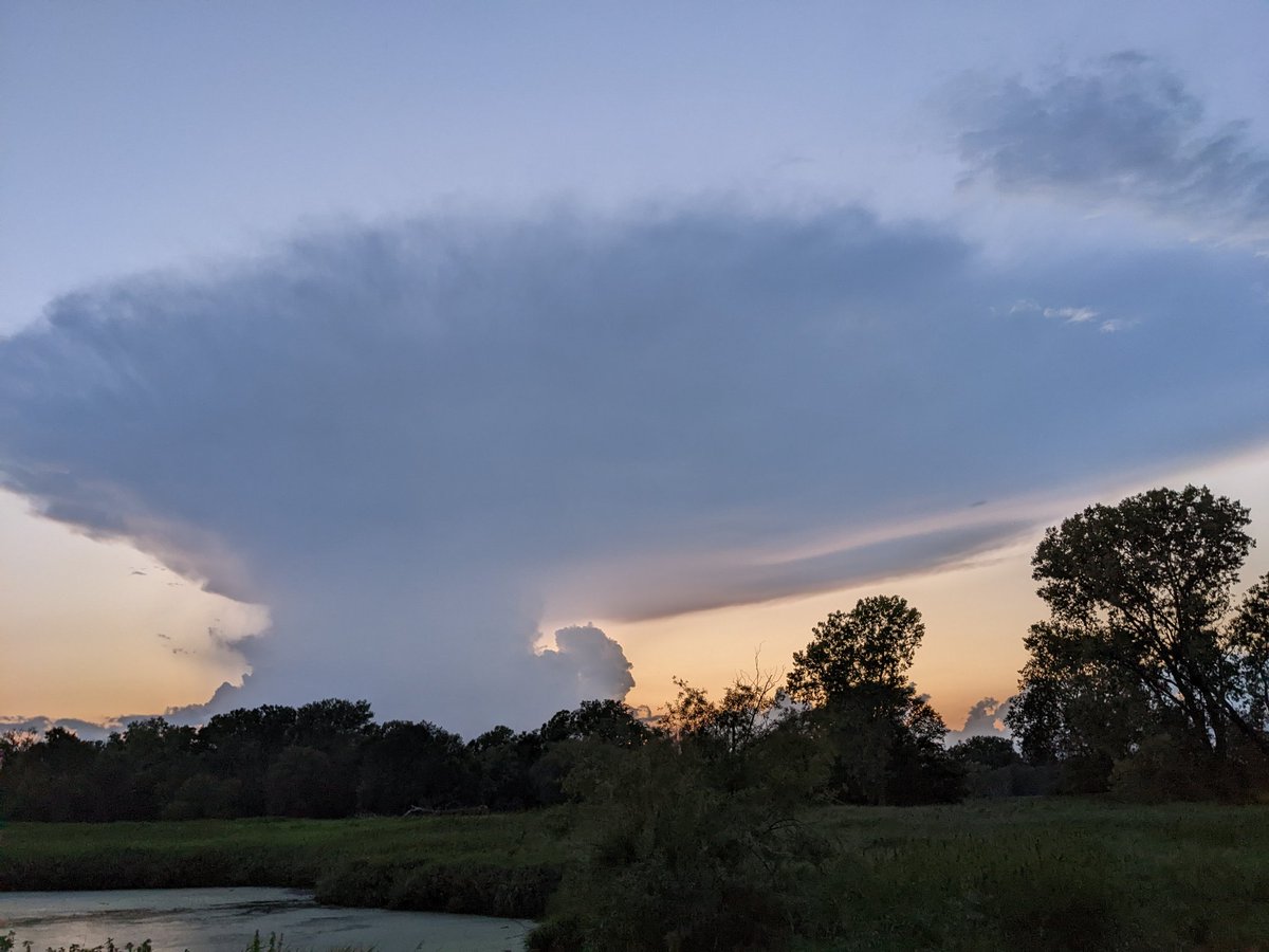 ColorMeCritters's tweet image. Brooklyn Park, MN 7:30pm major star trek vibes 🖖 @LisaMeadowsCBS