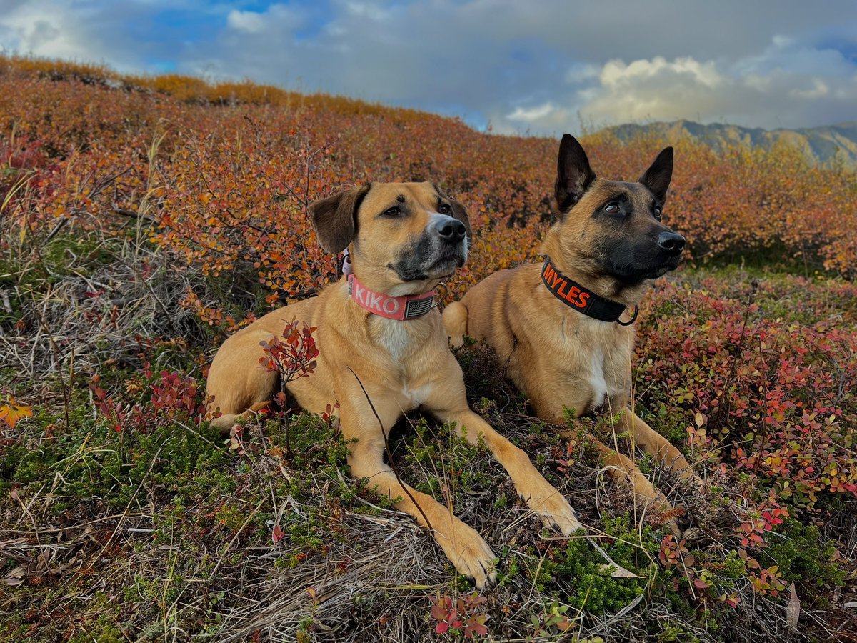 derrstroyer's tweet photo. 🍂🍁 https://t.co/RU3WT6DiyC
