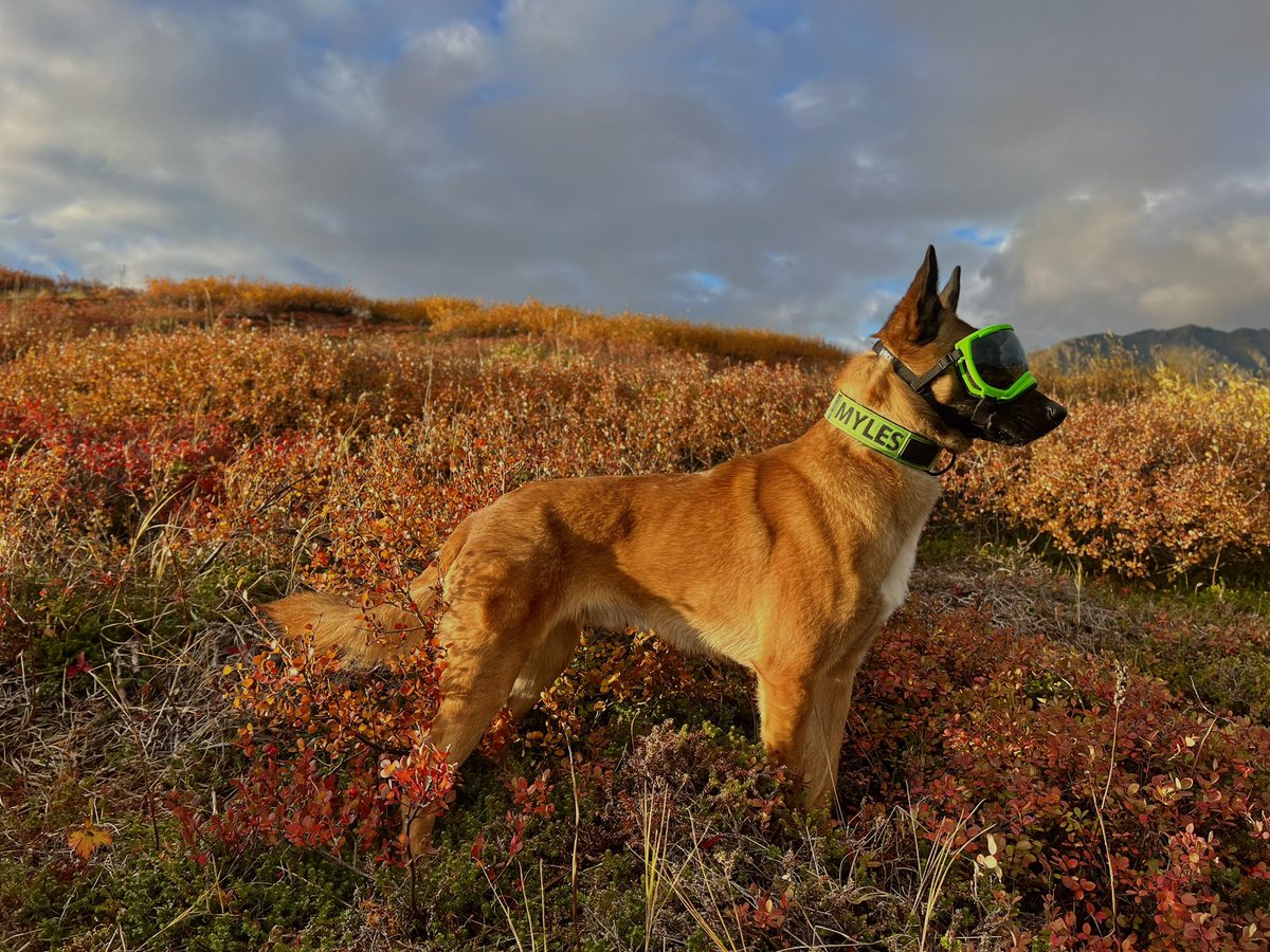 derrstroyer's tweet photo. 🍂🍁 https://t.co/RU3WT6DiyC