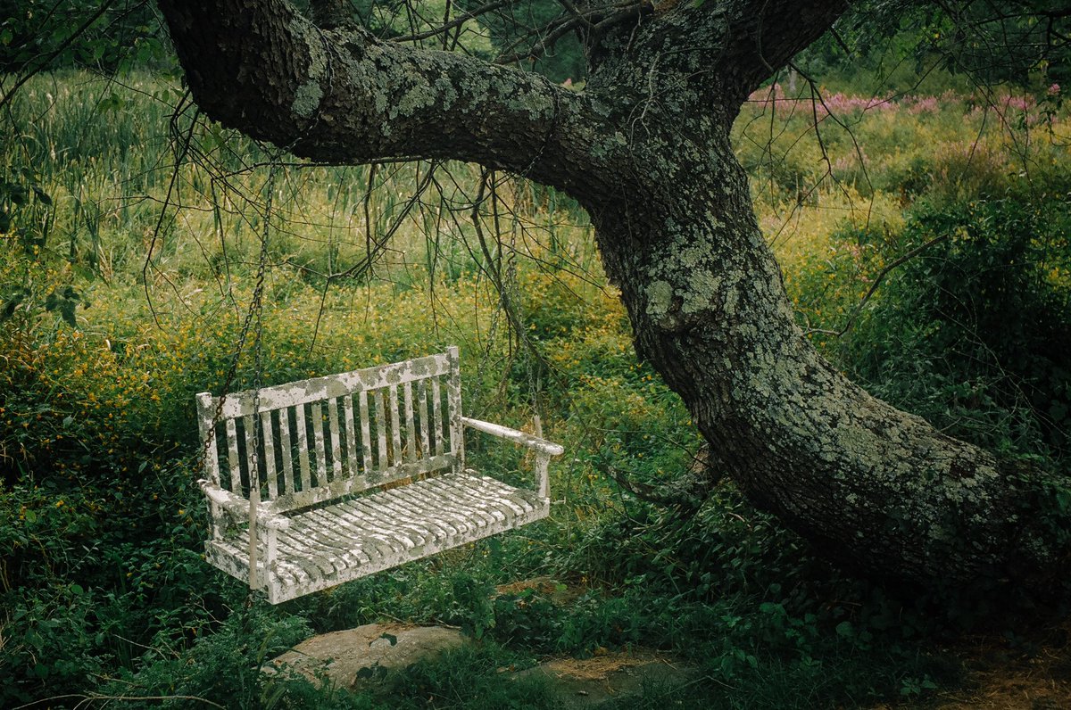 mickeyjspear's tweet image. 