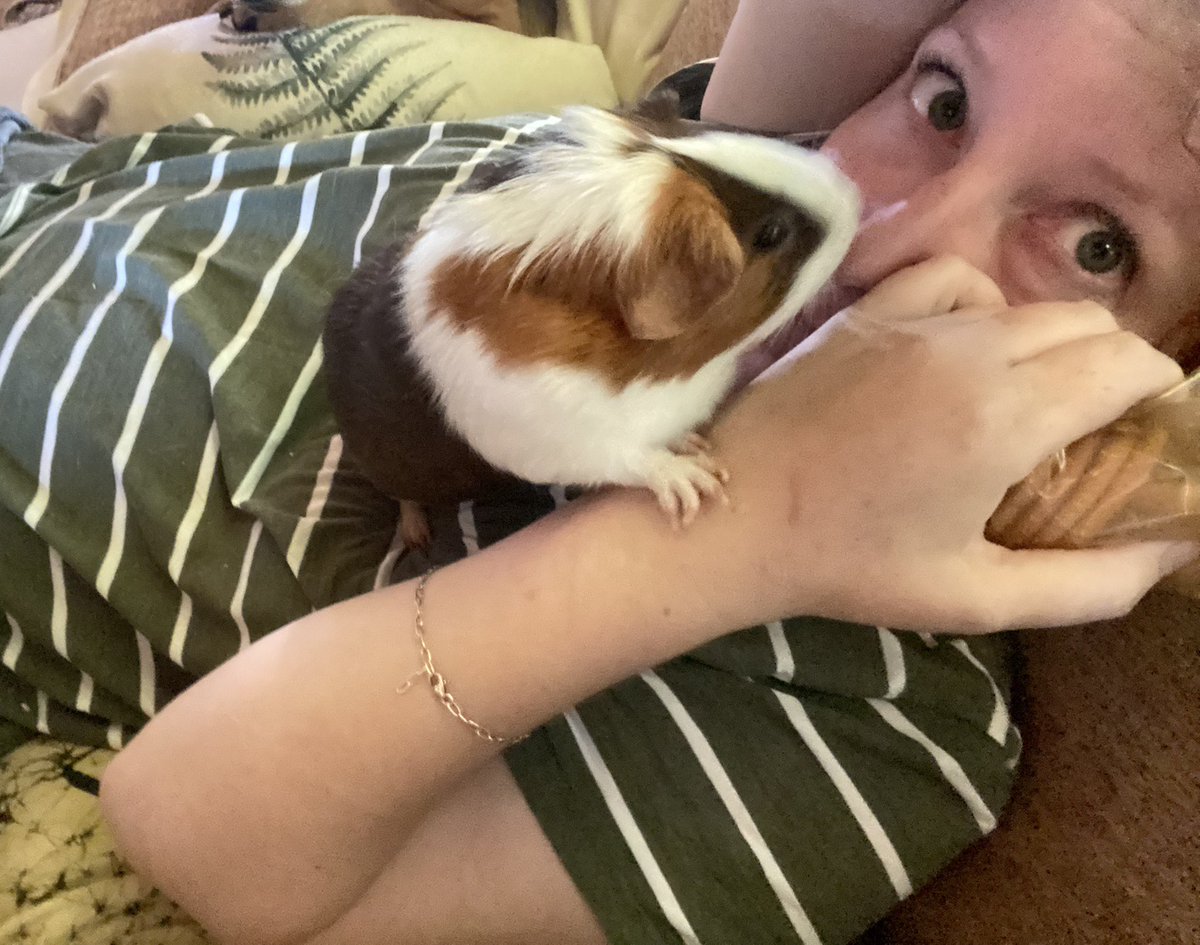 Stahp try hiding snac u greedy winch!